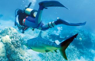 Taucher mit Fisch